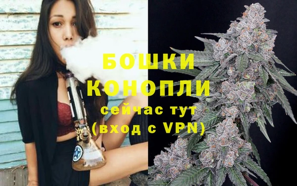 трава Алзамай