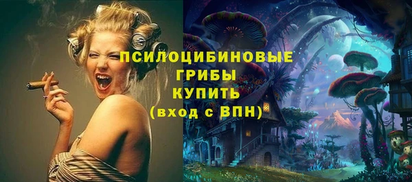 дурь Алексеевка
