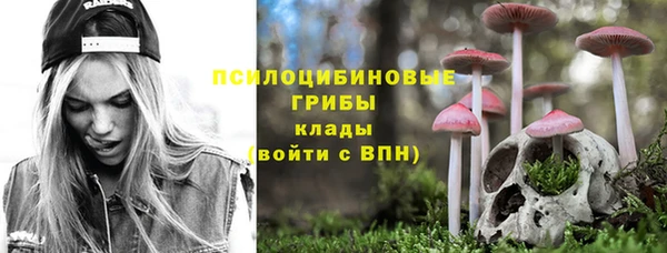 дурь Алексеевка