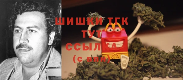 spice Алексин